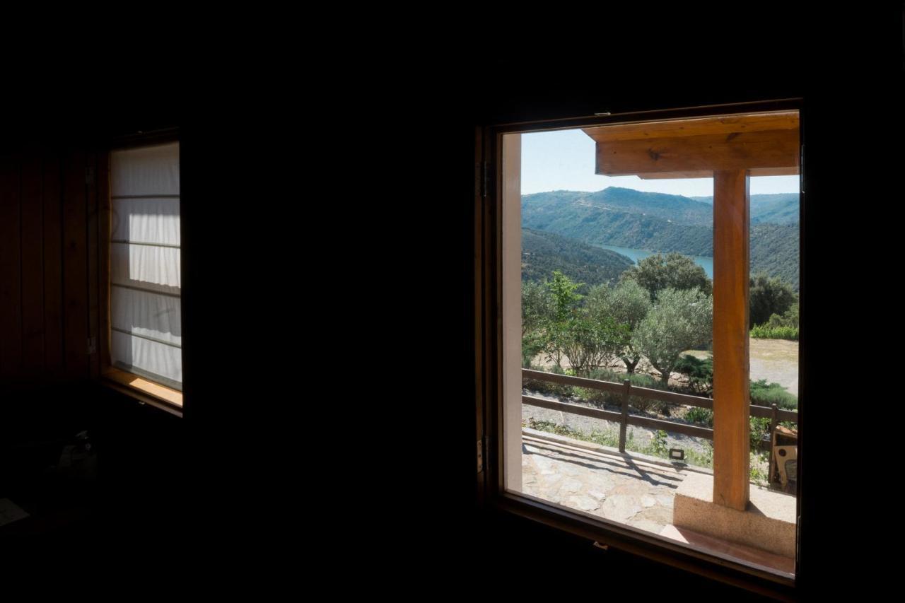 Casa Das Arribas - Rio Douro Aos Seus Pes Pensionat Bemposta  Exteriör bild