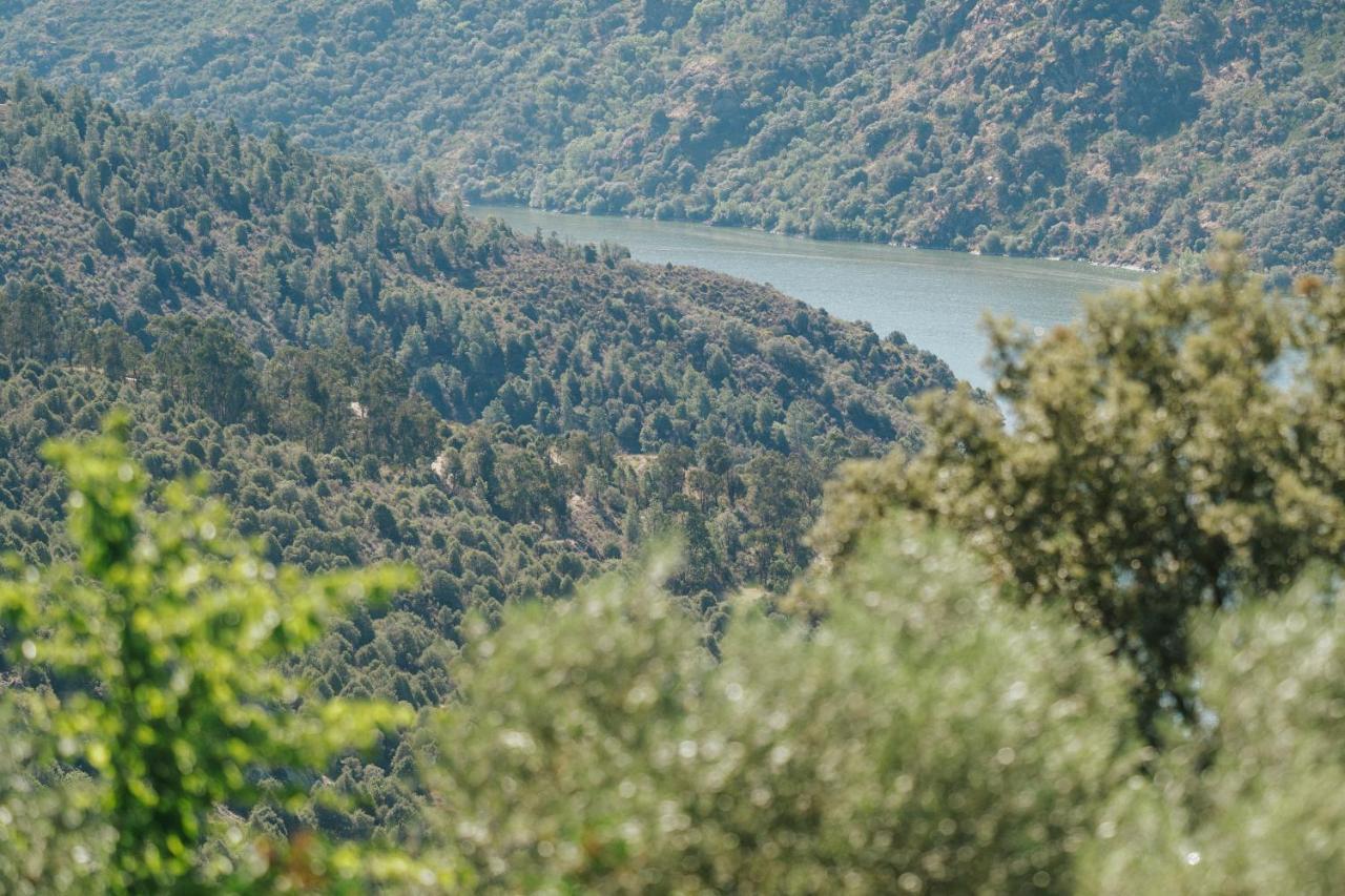 Casa Das Arribas - Rio Douro Aos Seus Pes Pensionat Bemposta  Exteriör bild