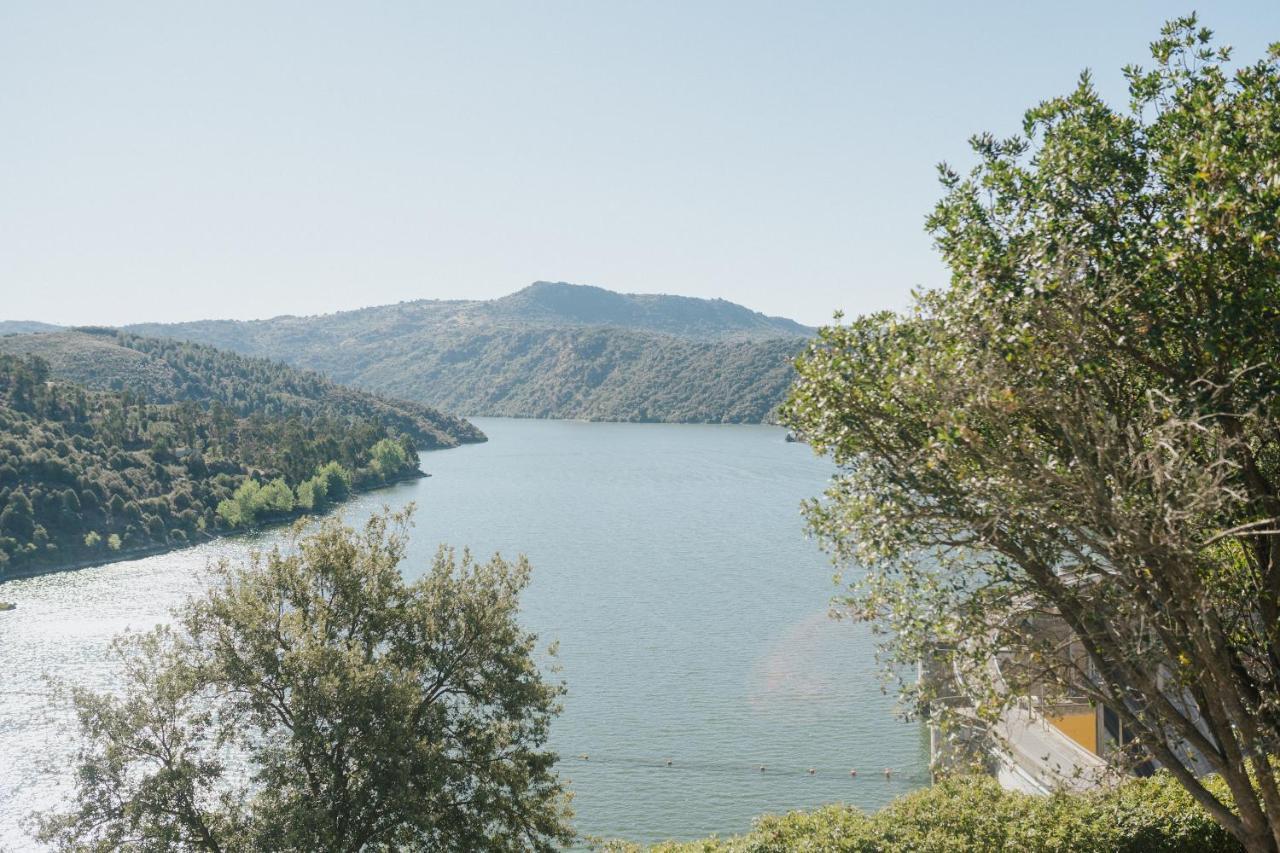 Casa Das Arribas - Rio Douro Aos Seus Pes Pensionat Bemposta  Exteriör bild