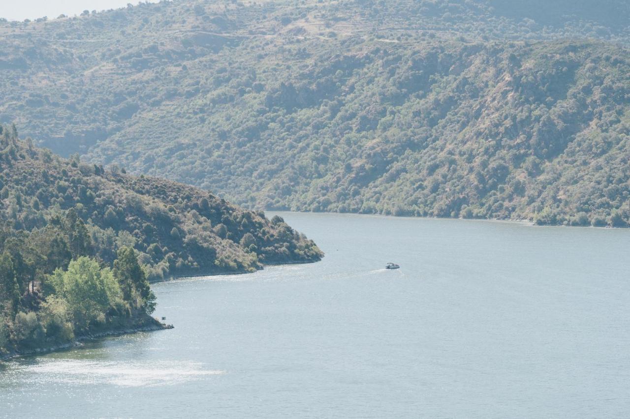 Casa Das Arribas - Rio Douro Aos Seus Pes Pensionat Bemposta  Exteriör bild