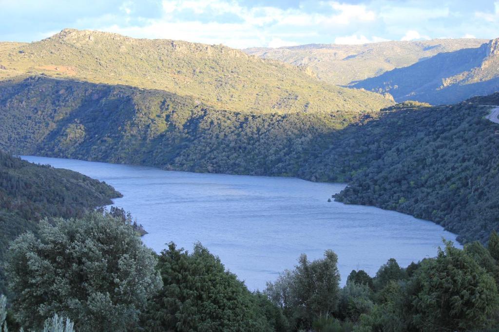 Casa Das Arribas - Rio Douro Aos Seus Pes Pensionat Bemposta  Exteriör bild